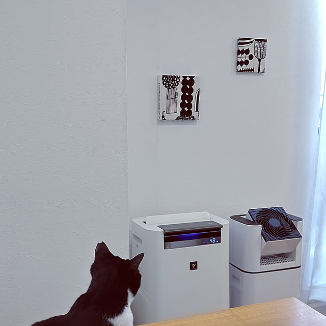 hihaさんの実例写真