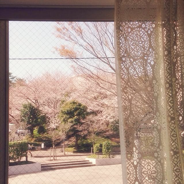 165さんの実例写真