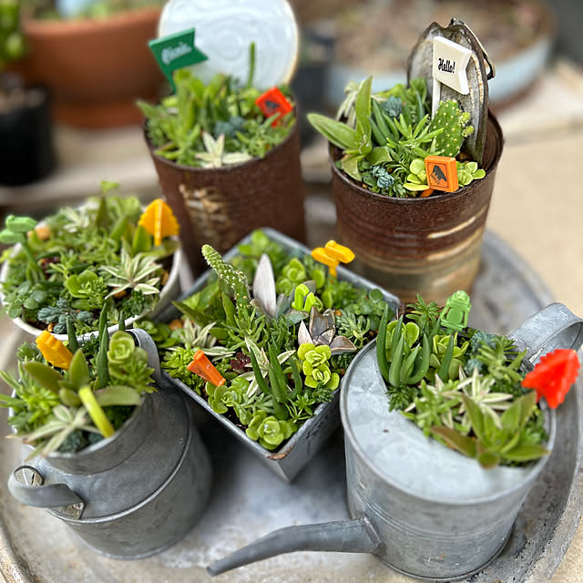 portulacaさんの実例写真
