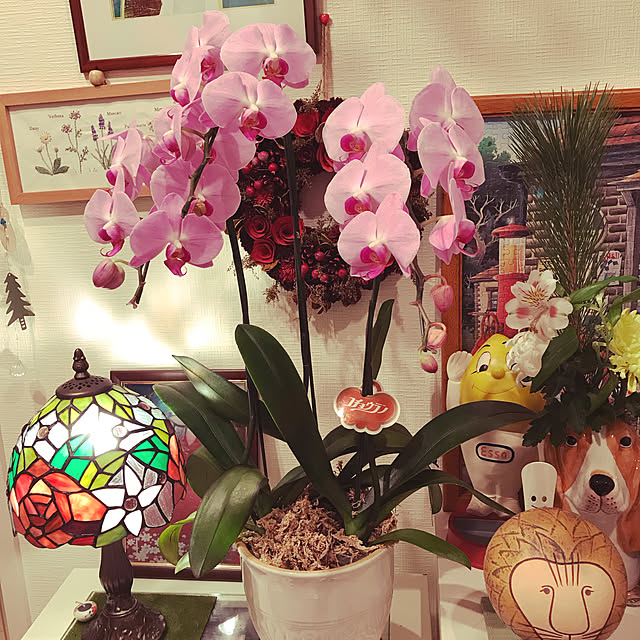 bianka630さんの実例写真