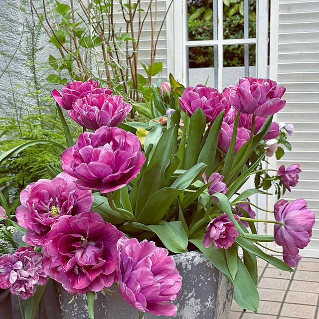 DAYONEさんの実例写真