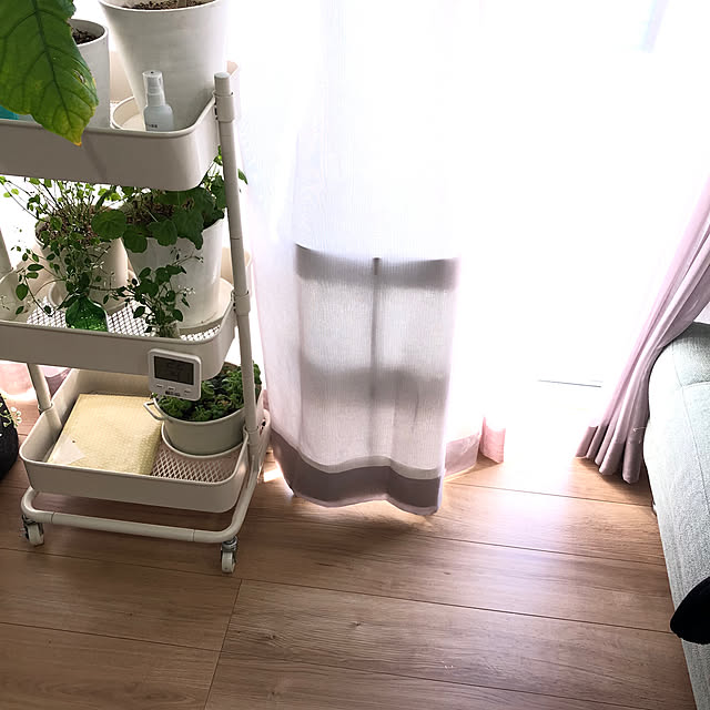 pinkflower_Potagerさんの部屋