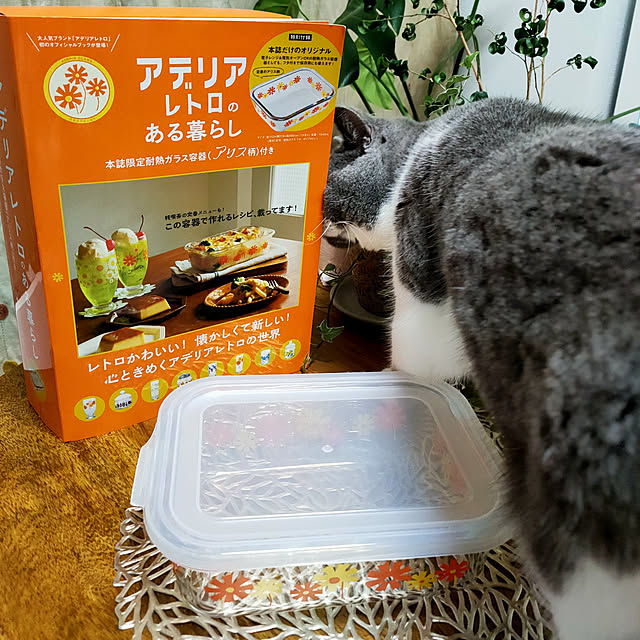 KEIKOさんの実例写真