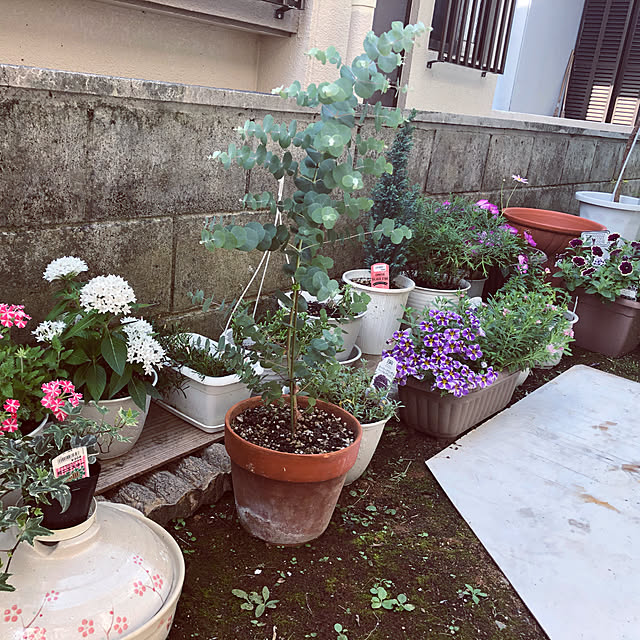 micchiさんの実例写真