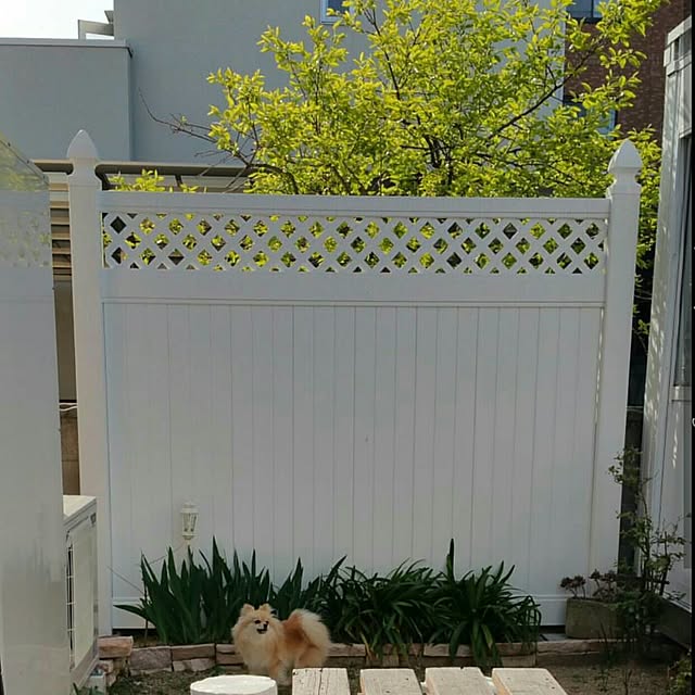 poporuruさんの実例写真