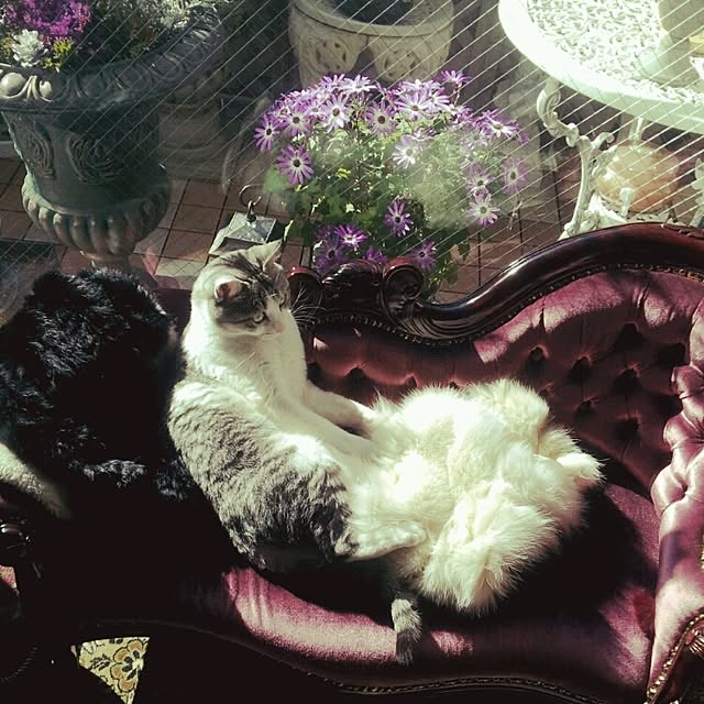 emmyyさんの実例写真