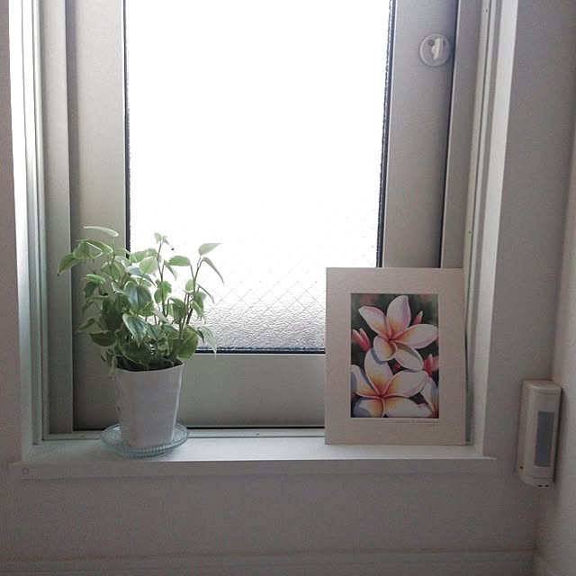 canaさんの実例写真
