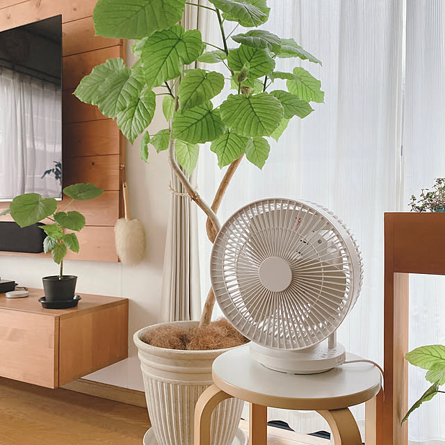 yukaさんの部屋