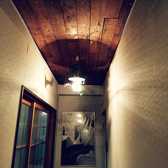 DailyRoomclip