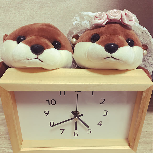 omochiさんの実例写真