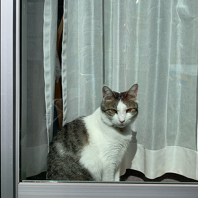 hinaさんの実例写真