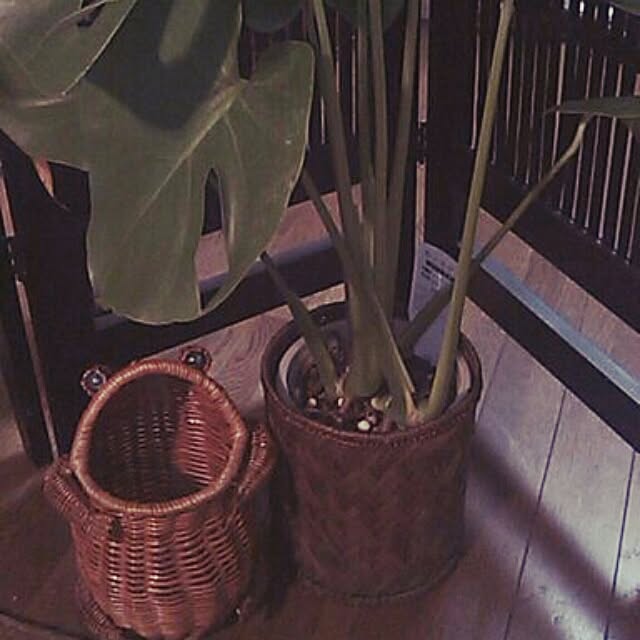 chayさんの実例写真