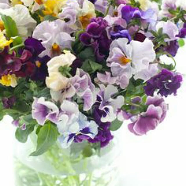 玄関/入り口のインテリア実例 - 2017-03-20 20:06:04