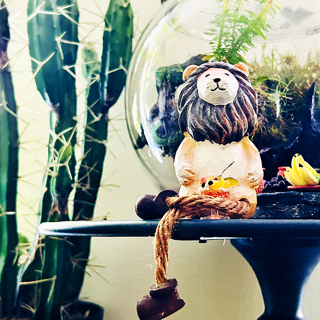 DAYONEさんの部屋