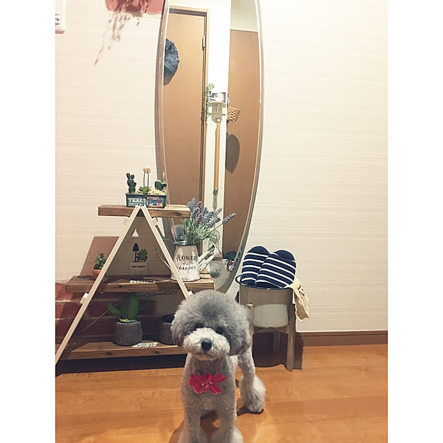 meguko.ryanさんの実例写真