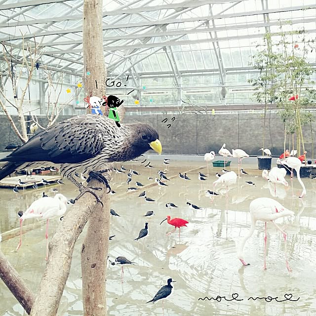moco-mocoさんの実例写真