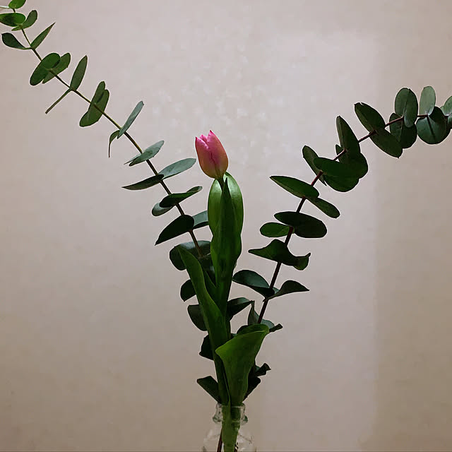 eshinobumさんの実例写真