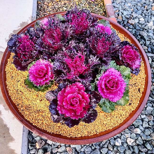 NSDさんの実例写真