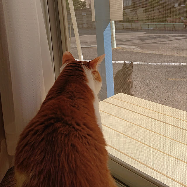 mugi77327732さんの実例写真