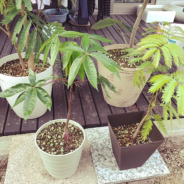 Sayさんの実例写真