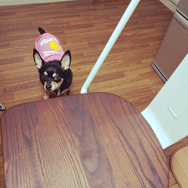 korohukumamanさんの実例写真