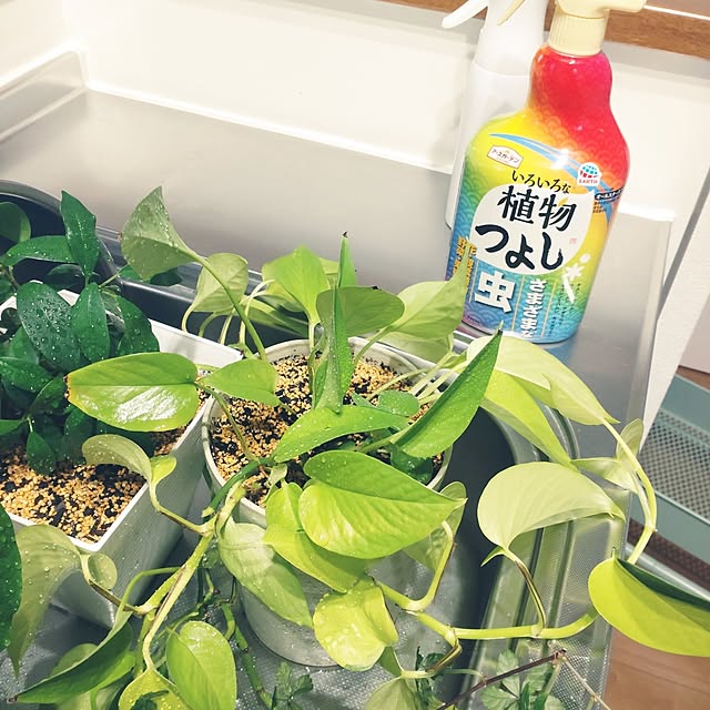 tan5さんの実例写真
