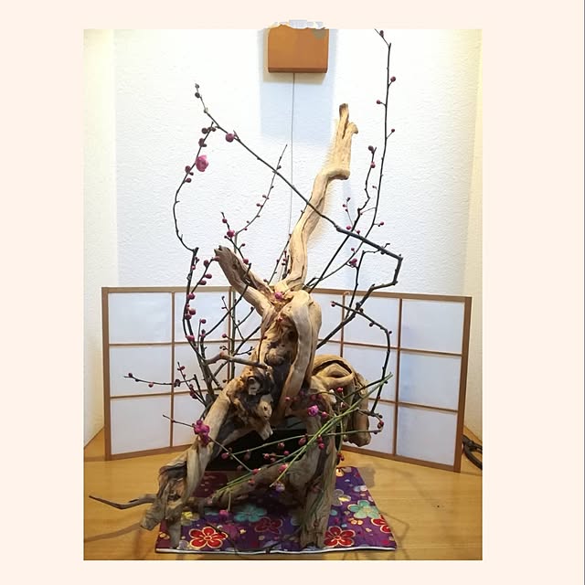 runaさんの実例写真