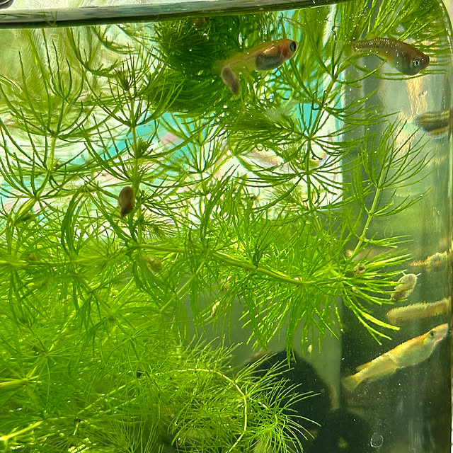 S_homeさんの実例写真