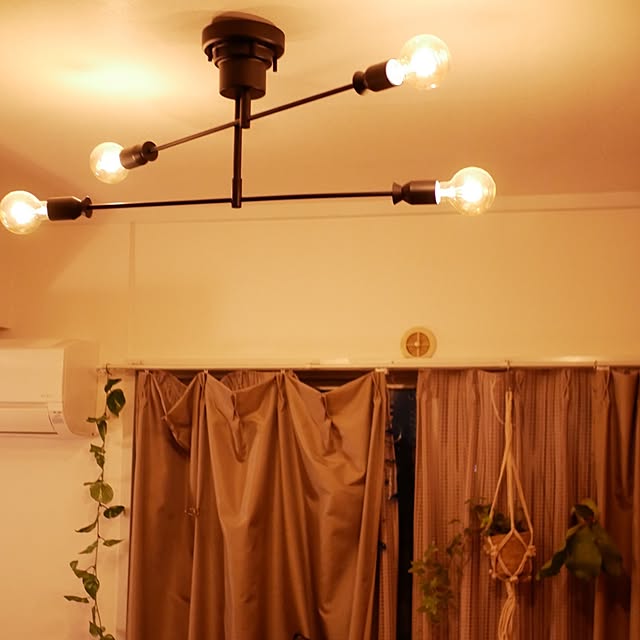 hikaruさんの実例写真