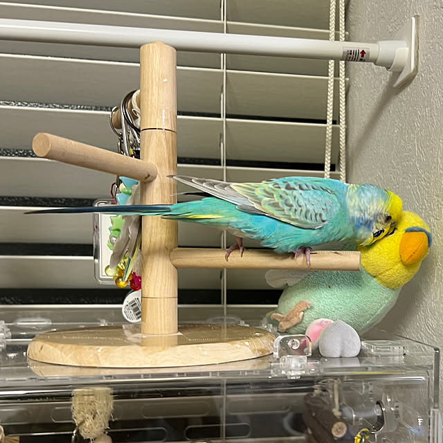 kurumeruさんの部屋