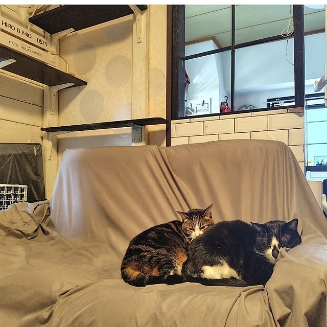 yuuさんの実例写真