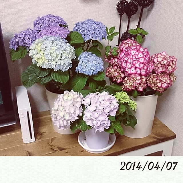 kira127さんの実例写真
