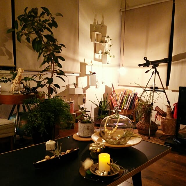 kaorinさんの実例写真