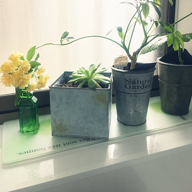 mimichankさんの実例写真