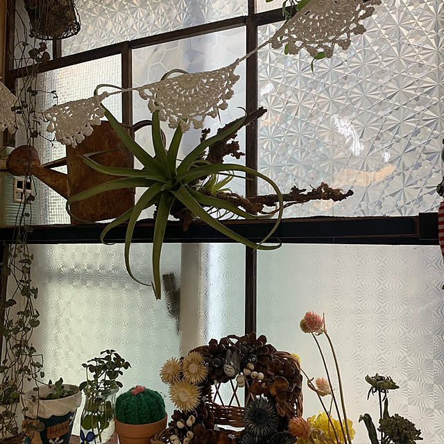 Fumiさんの実例写真
