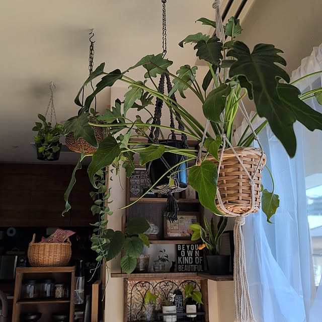 lovepeaceさんの実例写真