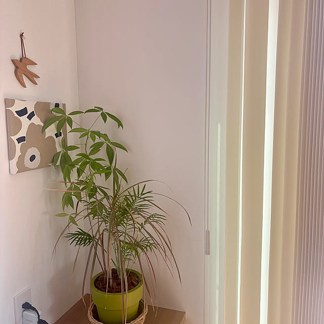 rihiさんの部屋