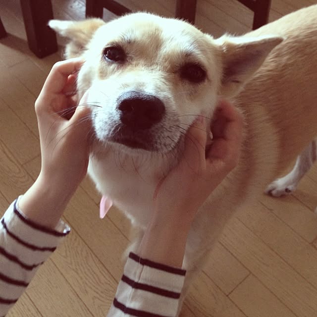 leonaさんの実例写真