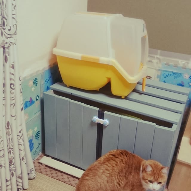 tomoさんの実例写真