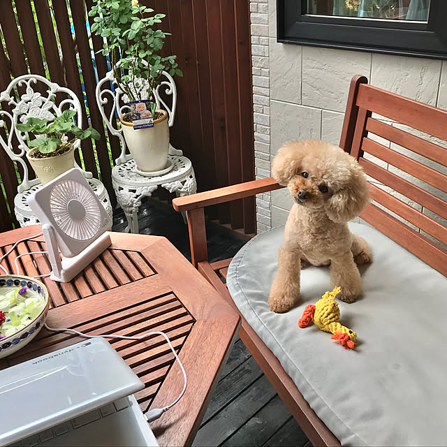 kazさんの実例写真