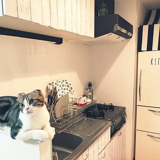 tansukeさんの実例写真