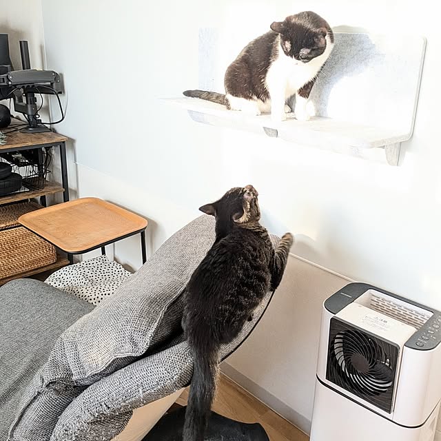 hihaさんの部屋