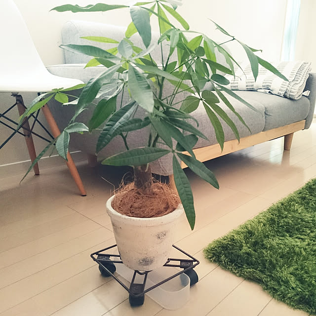 hana5さんの実例写真