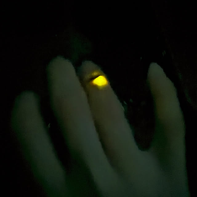 ayayayayaさんの部屋