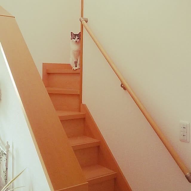 mokaさんの実例写真