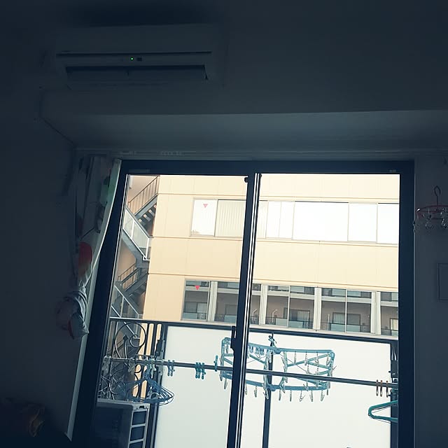 Singing_Dogさんの実例写真