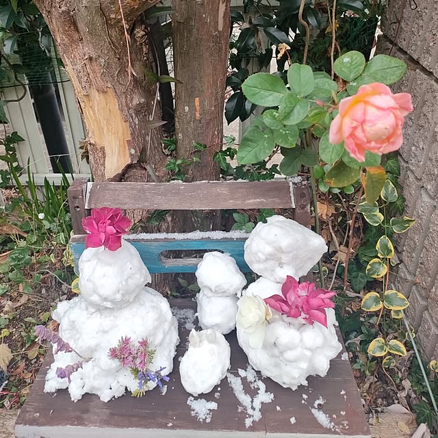 mind_komaさんの実例写真