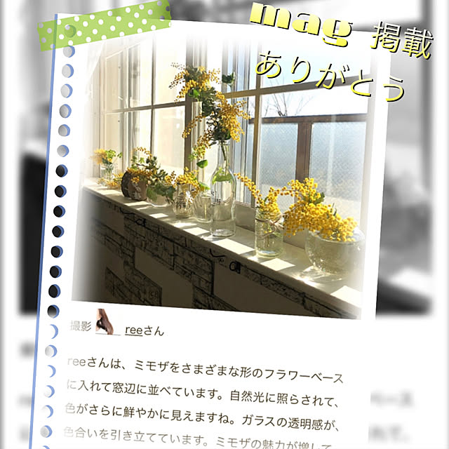 reeさんの実例写真