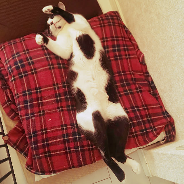 oseroさんの実例写真