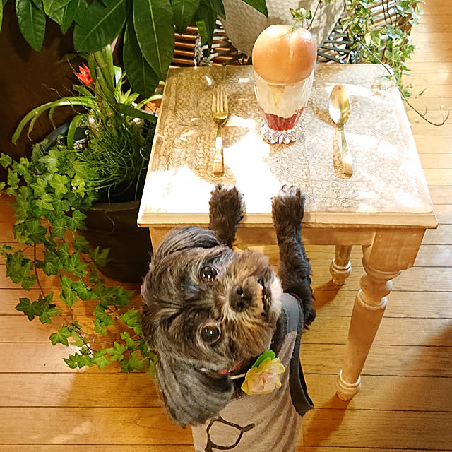 asaさんの実例写真